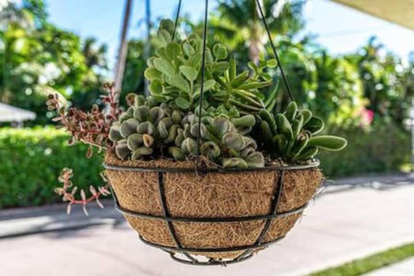Olive Apart Unit 1 By Pmi West Palm Beach Kültér fotó